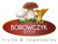 U BORÓWEK
